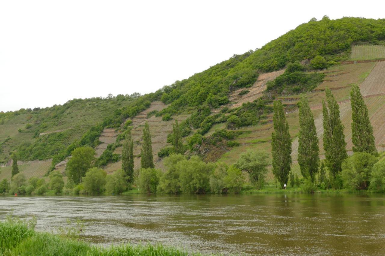 Luiza Fewo Trittenheim Exterior photo