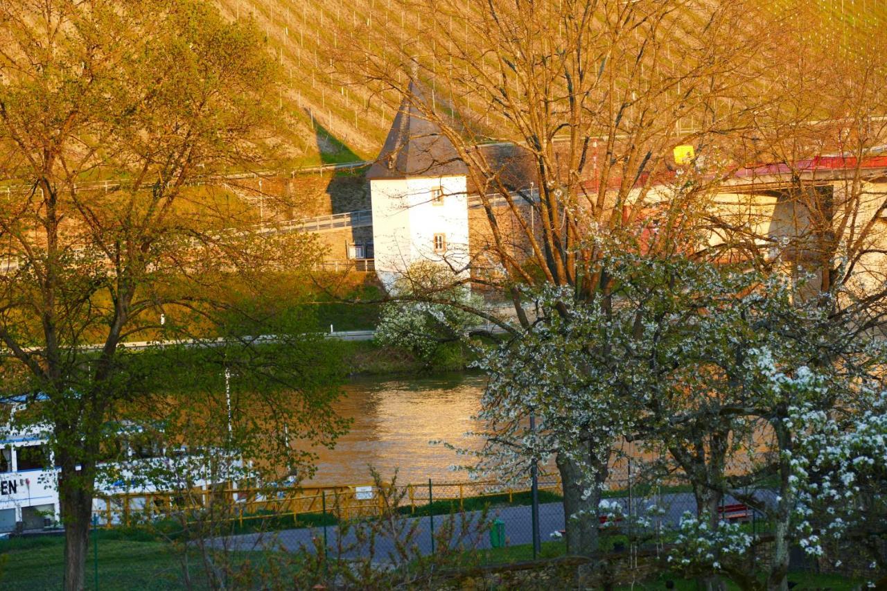 Luiza Fewo Trittenheim Exterior photo