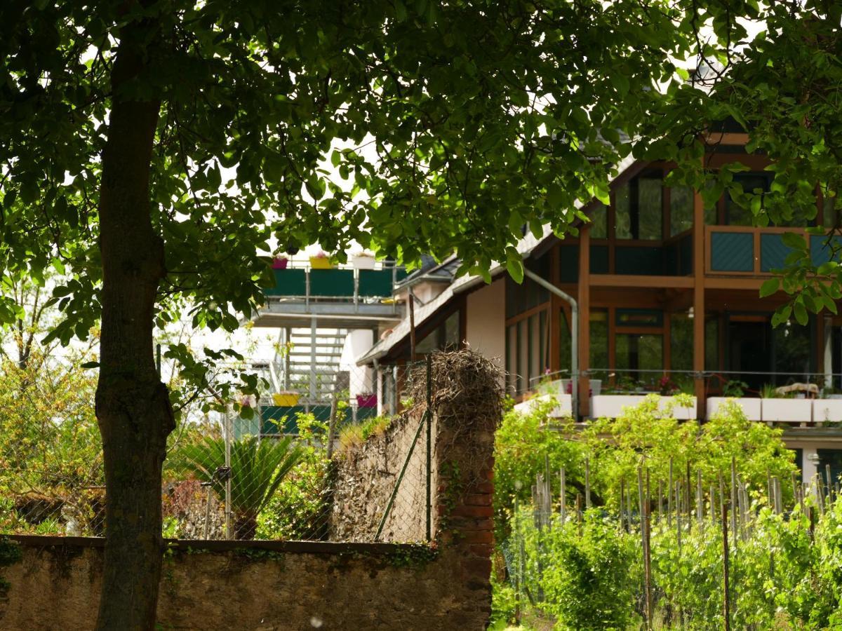 Luiza Fewo Trittenheim Exterior photo